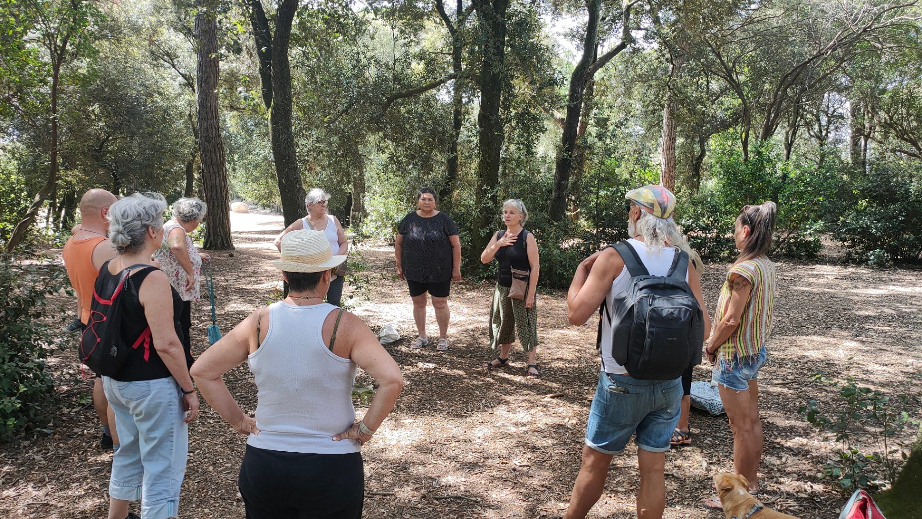 Grupo en círculo escuchando en un claro del bosque durante una paseada aromática de verano