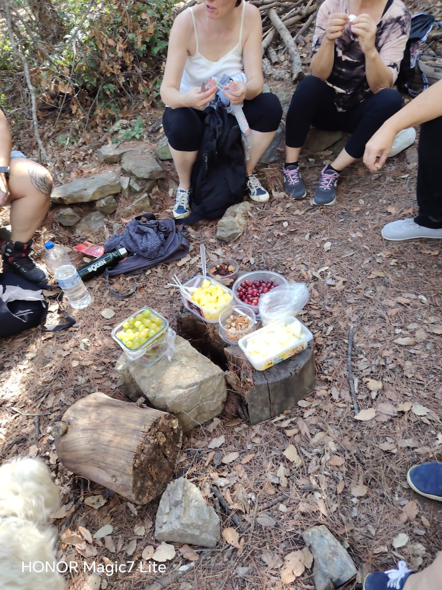 Fruta y alimentos compartidos durante una pausa de la paseada aromática de otoño