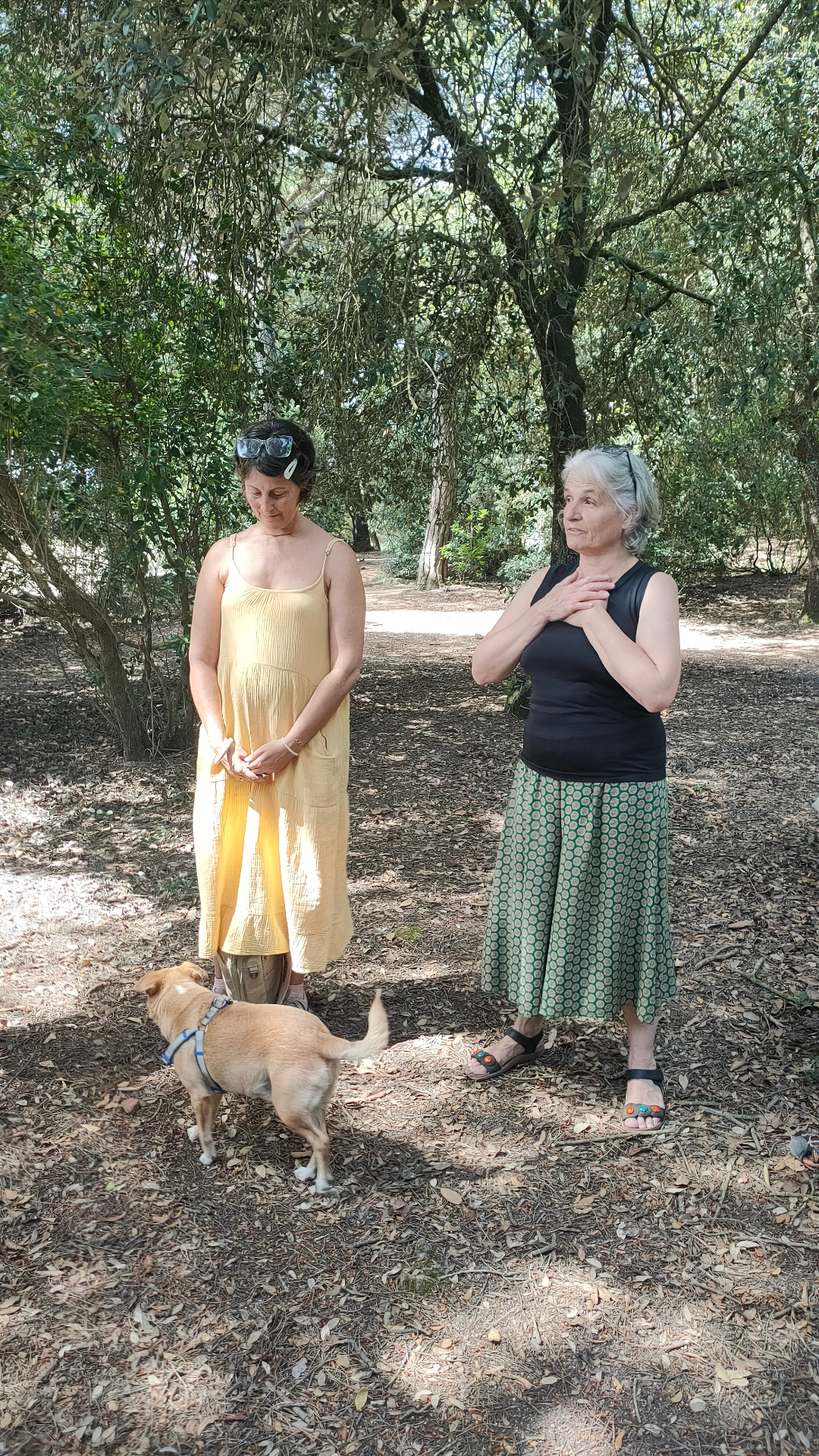 Dos mujeres guiando un momento de presencia corporal durante una paseada aromática de verano