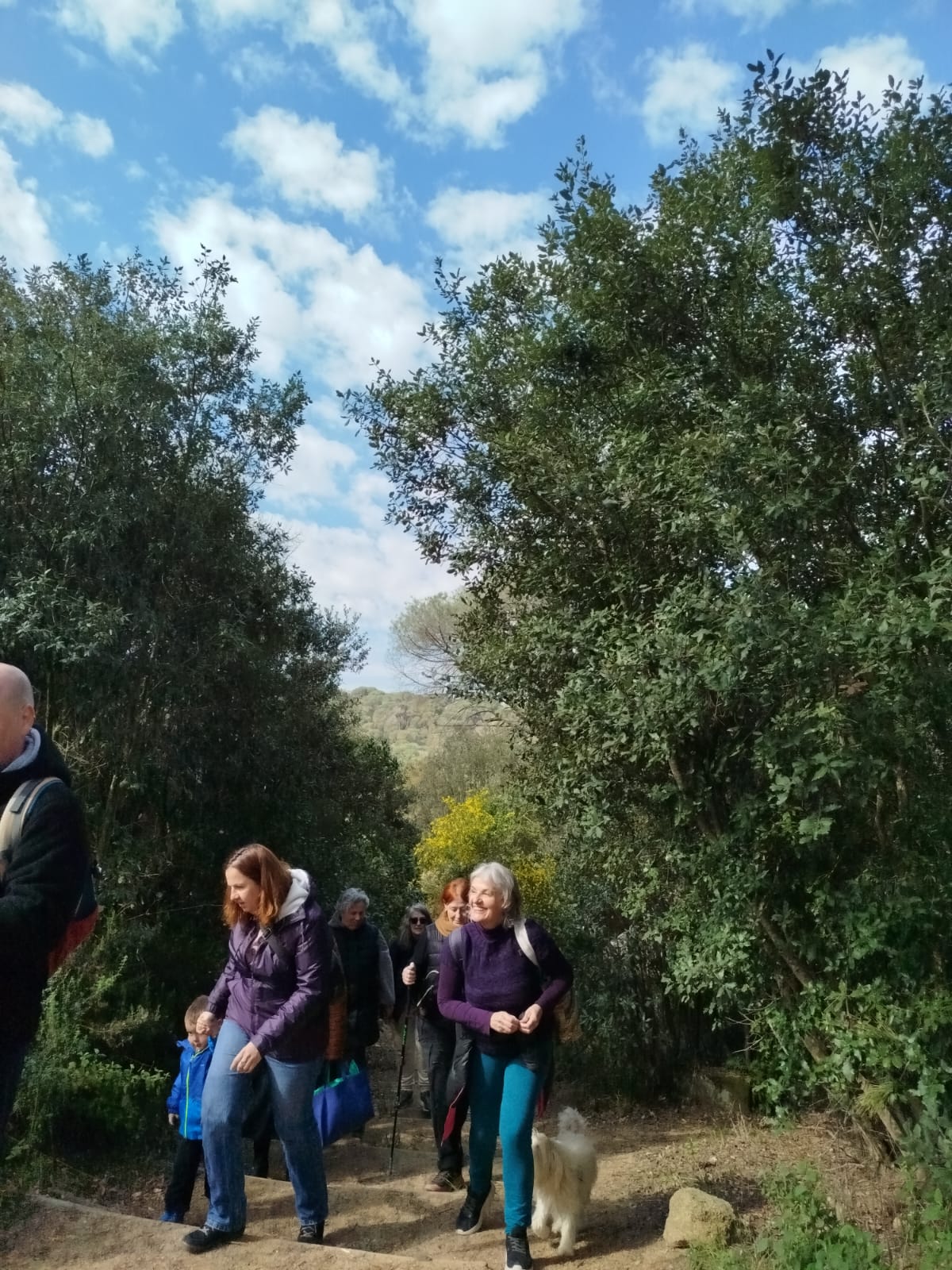 Grupo caminando por un sendero rodeado de vegetación durante una paseada aromática