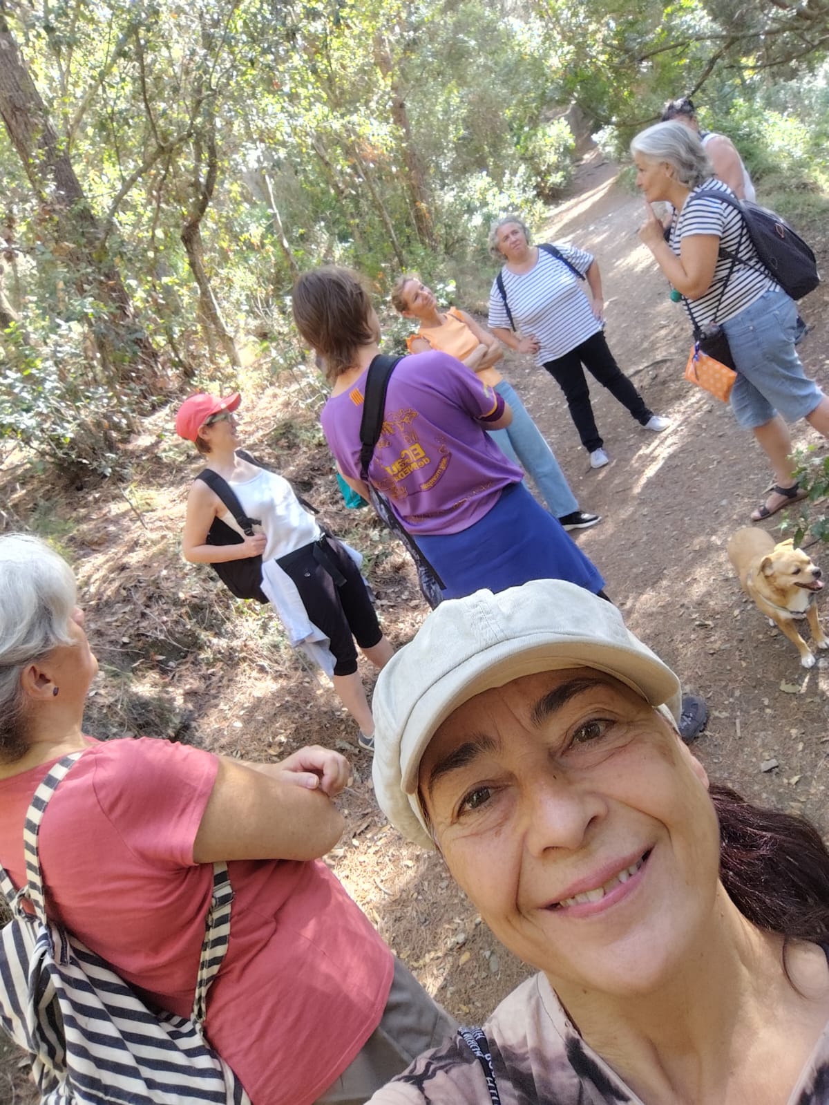 Participantes conversando en un sendero arbolado durante la paseada aromática de otoño